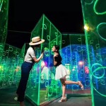 Amusement Ride Manufacturer - Park Facilities Portable Coaster