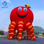 Hot Air Balloon Supplier - Low Price Ground Balloon Festival