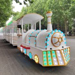 Trackless Train Supplier - Public Locomotive Train Outdoor Backyard