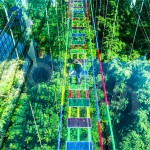 Thrill Ride Manufacturer - Delicate Attractive Startling Heart Ride