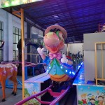 Roller Coaster Supplier - Delicate Factory Price Fruit Coaster