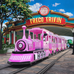 Trackless Train Manufacturer - Fiberglass Garden Trackless Electric