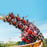 Carousel Factory - New Attraction Theme Park Carousel