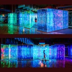 Amusement Ride Manufacturer - Park Facilities Portable Coaster