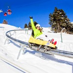 Mountain Coaster Factory - Delicate Attractive Single Rail Coaster