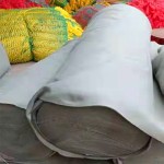 Slide Supplier - New Attraction Long Slide Grass World