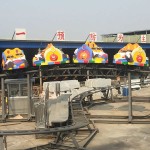 Family Ride Supplier - Roller Coaster Famille Dragon Coaster