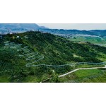 Water Slide Manufacturer - Customized Outdoor Large Glass Rafting