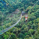 Thrill Ride Manufacturer - Delicate Attractive Startling Heart Ride