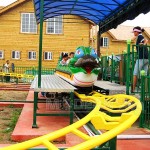 Roller Coaster Supplier - Hot Sale Trailer Mounted Fruit Coaster