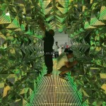 Roller Coaster Factory - Portable Dragon Coaster Family Ride