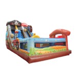 Inflatable Bouncy Castle Manufacturer - PVC Cartoon Slide Combo for Sports Park