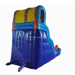 Inflatable Bouncy Castle Supplier - PVC Octopus Double Slide for Outdoor Parks