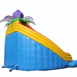 Inflatable Water Trampoline Factory - Crazy Car Slide for Outdoor Park Games