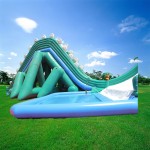 Inflatable Water Park Equipment Manufacturer - Hot Sale for Home Adult Amusement