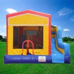 Inflatable Castle Supplier - Cartoon Themed Recreation Bounce Bed for Backyard