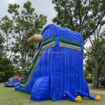 Inflatable Trampoline Slider Factory - PVC Double Fish Design for Indoor Playhouse