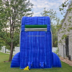 Inflatable Trampoline Slider Factory - PVC Double Fish Design for Indoor Playhouse
