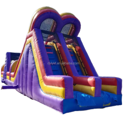 Inflatable Castle Manufacturer - Cartoon Themed Bounce Bed for Backyard Amusement
