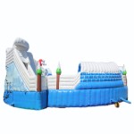 Inflatable Race Platform Manufacturer - Customizable Slides for Island Resort