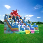 Inflatable Water Park Manufacturer - Pontoon Island Obstacles for Mobile Resort