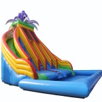 Inflatable Water Trampoline Factory - Crazy Car Slide for Outdoor Park Games