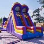 Inflatable Castle Manufacturer - Cartoon Themed Bounce Bed for Backyard Amusement