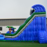Inflatable Trampoline Slider Factory - PVC Double Fish Design for Indoor Playhouse