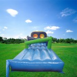 Inflatable Water Slide Factory - Niagara Falls Inspired Castle Combo for Kids