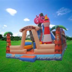 Inflatable Castle Supplier - Fashionable Rental Slide for Water Parks