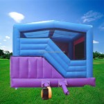 Inflatable Bouncy House Factory - Treasure Island Design for Park Trampoline