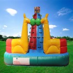 Inflatable Rock Climbing Supplier - Adult Outdoor Bouncy Castle for Sports Practice