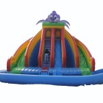 Inflatable Water Trampoline Factory - Crazy Car Slide for Outdoor Park Games