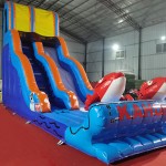 Inflatable Bouncy Castle Supplier - PVC Octopus Double Slide for Outdoor Parks