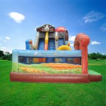 Inflatable Bouncy Castle Manufacturer - PVC Cartoon Slide Combo for Sports Park