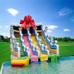 Inflatable Water Park Manufacturer - Pontoon Island Obstacles for Mobile Resort