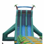 Inflatable Bouncy Castle Manufacturer - PVC Double Slide for Shopping Mall