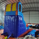 Inflatable Bouncy Castle Supplier - PVC Octopus Double Slide for Outdoor Parks