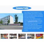 Inflatable Bouncy Castle Factory - China Made Jumping Castle & Slip Slide Combo