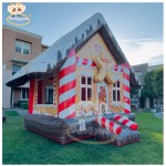Inflatable Castle Manufacturer - Compact Indoor Design for School Activities