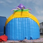 Inflatable Water Trampoline Factory - Crazy Car Slide for Outdoor Park Games