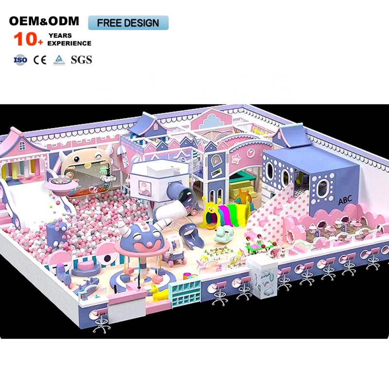 Amusement Equipment Factory - Purple Castle Series Best Indoor Playground