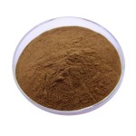 Microorganism Probiotics 10 Billion CFU/g Bacillus Pumilus
