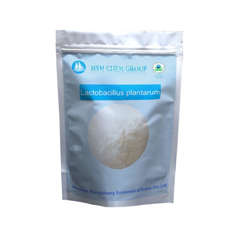 High Purity Lactobacillus Plantarum Powder Food Grade 10billion