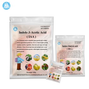 Auxin IBA IAA IBA-K 98% for Agriculture Indole-3-butyric Acid Plant Growth Regulator