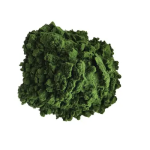 Factory Supply with Best Price Organic Chlorella Pyrenoidosa Chlorella Powder