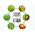 Plant Growth Regulator Cytokinin 6-Furfuryladenine 6KT Kinetin 99% Plant Hormone 6KT Cytokinin Kinetin 99% TC CAS 525-79-1