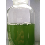 Factory Supply with Best Price Organic Chlorella Pyrenoidosa Chlorella Powder