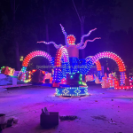 Aircraft Ride Supplier - Aircraft Adults Funfair Self Control Octopus