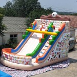 Water Slide Factory - Narothho Inflatable Water Slide PVC Custom